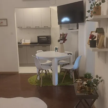 Apartment Hyde Park *